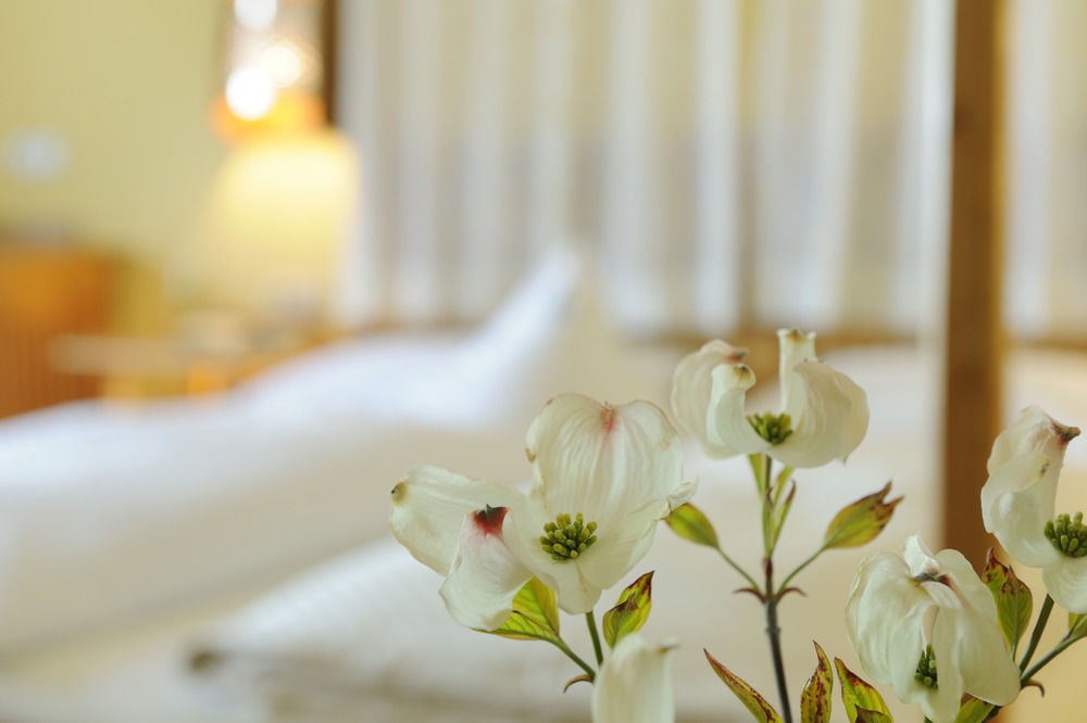 Botango Hotel